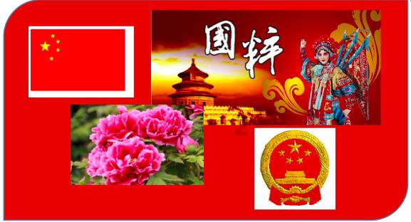 拯救机灵鸟